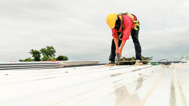 Best Tile Roofing Installation  in Ester, AK